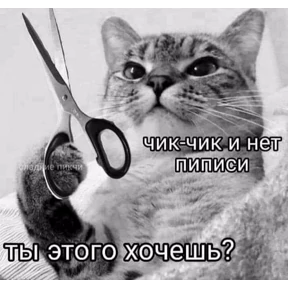 Приколы — стикер для MAX