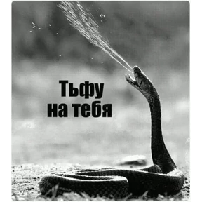 Приколы — стикер для MAX