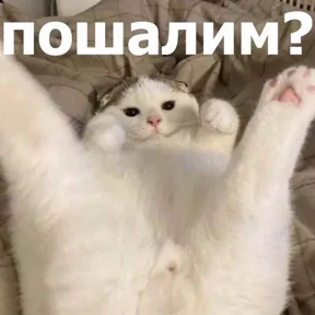Приколы — стикер для MAX