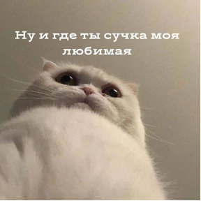 Приколы — стикер для MAX