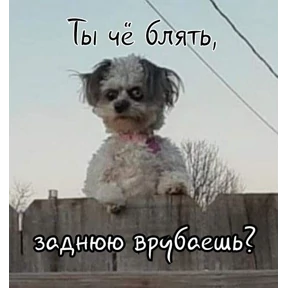 Приколы — стикер для MAX
