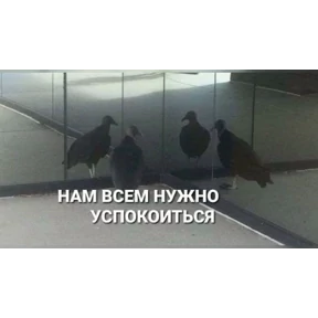 Жизнь — стикер для MAX