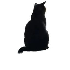 Пэшпээ — стикер для MAX