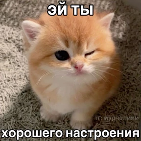 Боль — стикер для MAX