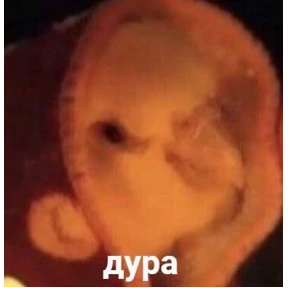 sunshine — стикер для MAX