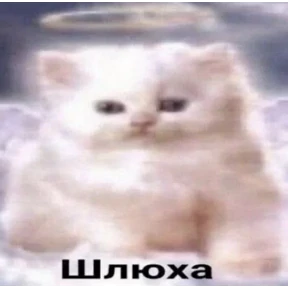 сосите — стикер для MAX