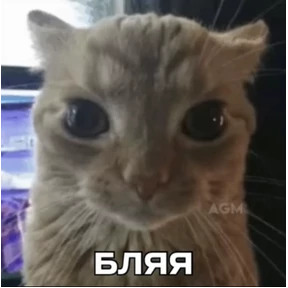сосите — стикер для MAX