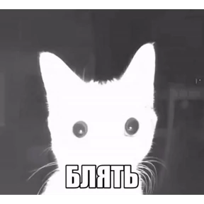 sunshine — стикер для MAX