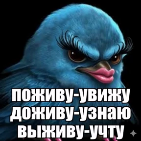 sunshine — стикер для MAX