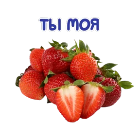 Стикер