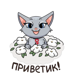 Анфиса @PNG_MiN — стикер для MAX
