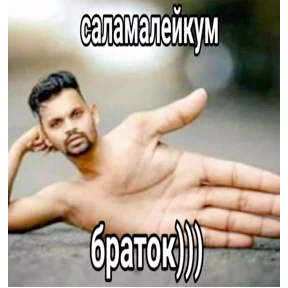 дресня, брат — стикер для MAX