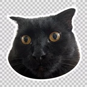 Евжоний — стикер для MAX