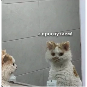 Ржакастикеры — стикер для MAX