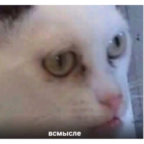 Ржакастикеры — стикер для MAX