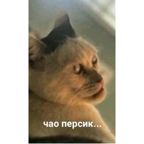 Ржакастикеры — стикер для MAX