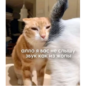 Ржакастикеры — стикер для MAX