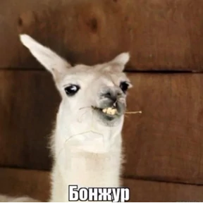 Ржакастикеры — стикер для MAX