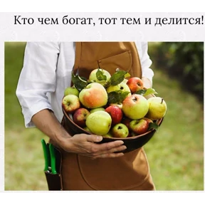 эксклюзив — стикер для MAX