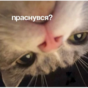@gryozina — стикер для MAX