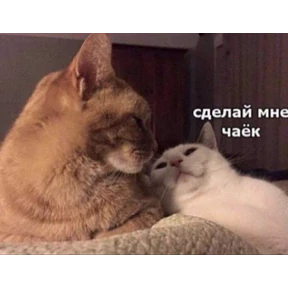 @gryozina — стикер для MAX