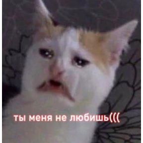 @gryozina — стикер для MAX