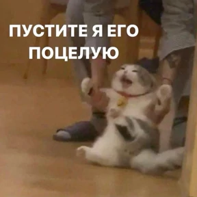 @gryozina — стикер для MAX