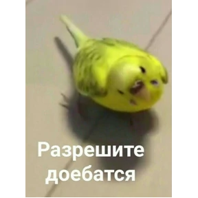 @gryozina — стикер для MAX