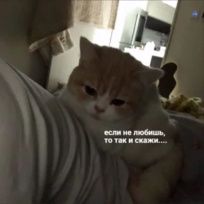 @gryozina — стикер для MAX