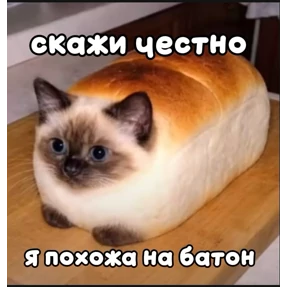 @gryozina — стикер для MAX