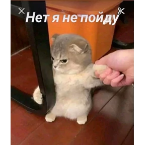 @gryozina — стикер для MAX