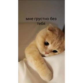 @gryozina — стикер для MAX