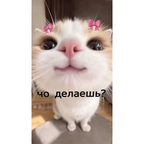 @gryozina — стикер для MAX
