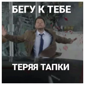 @gryozina — стикер для MAX