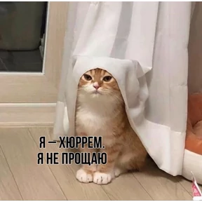 @gryozina — стикер для MAX