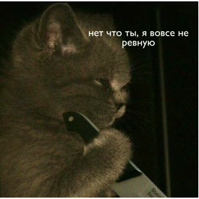 @gryozina — стикер для MAX