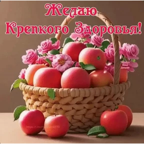 Стикеры от Анастасии — стикер для MAX
