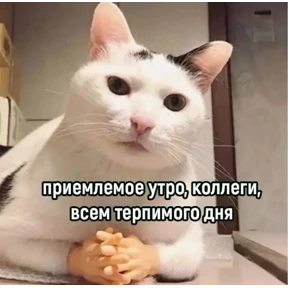 Ржакастикеры — стикер для MAX