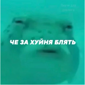 Ржакастикеры — стикер для MAX