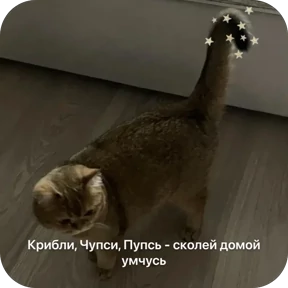 Булосьная полисия — стикер для MAX