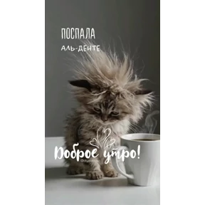 Утр — стикер для MAX