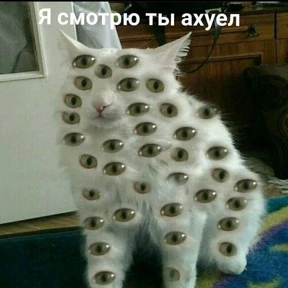 Жизнь — стикер для MAX
