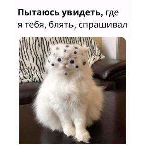 Жизнь — стикер для MAX