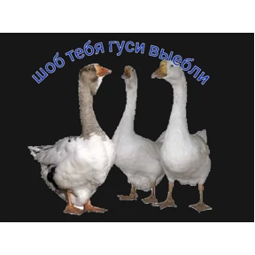 Приколы — стикер для MAX