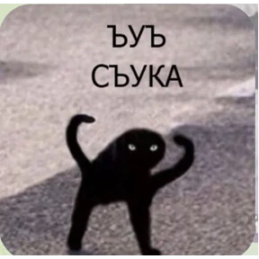 Тчк — стикер для MAX