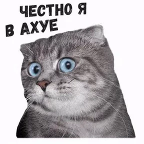 Приколы — стикер для MAX