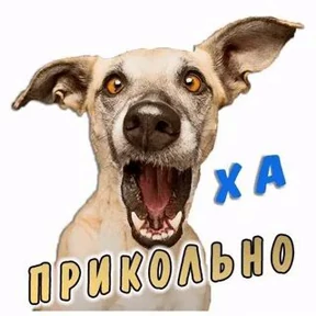 Приколы — стикер для MAX