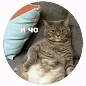 Приколы — стикер для MAX