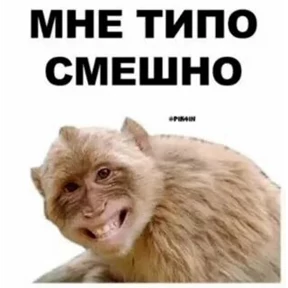 Приколы — стикер для MAX