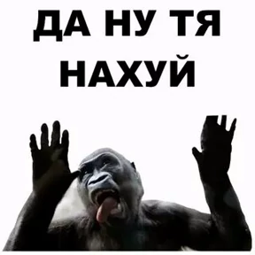 Приколы — стикер для MAX